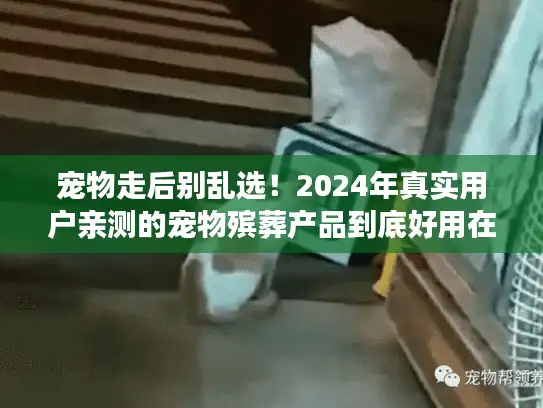 宠物走后别乱选！2024年真实用户亲测的宠物殡葬产品到底好用在哪？