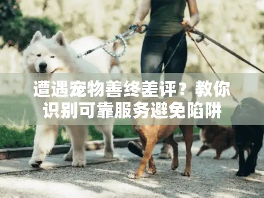 遭遇宠物善终差评？教你识别可靠服务避免陷阱