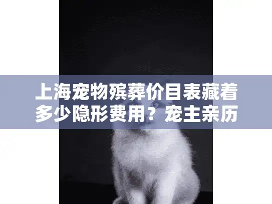 上海宠物殡葬价目表藏着多少隐形费用？宠主亲历分享避坑指南