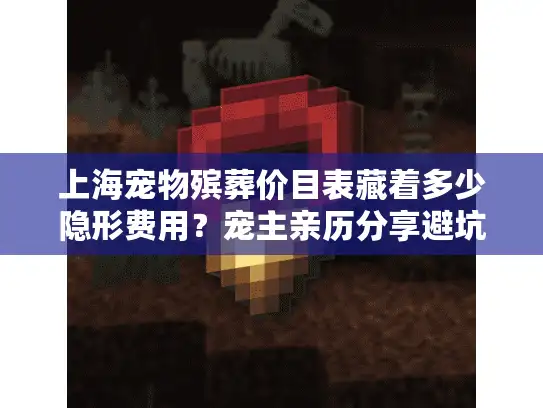上海宠物殡葬价目表藏着多少隐形费用？宠主亲历分享避坑指南