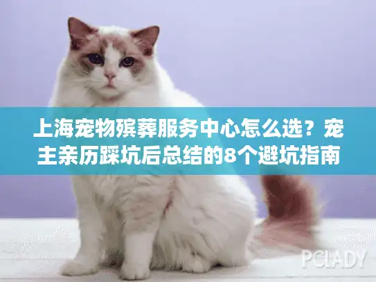 上海宠物殡葬服务中心怎么选？宠主亲历踩坑后总结的8个避坑指南