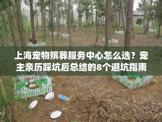 上海宠物殡葬服务中心怎么选？宠主亲历踩坑后总结的8个避坑指南