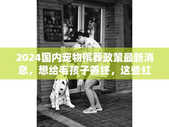 2024国内宠物殡葬政策最新消息，想给毛孩子善终，这些红线和福利你必须知道？