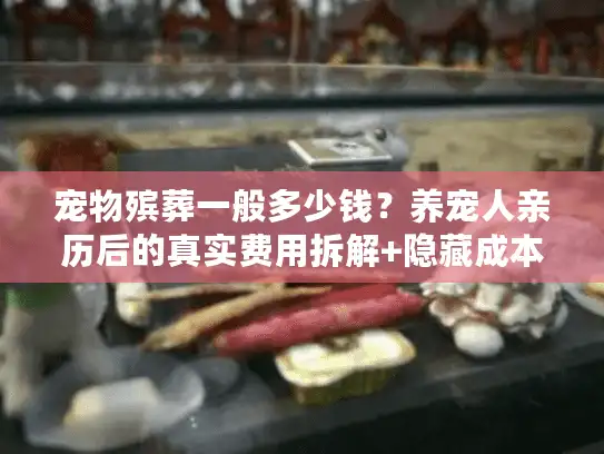 宠物殡葬一般多少钱？养宠人亲历后的真实费用拆解+隐藏成本曝光