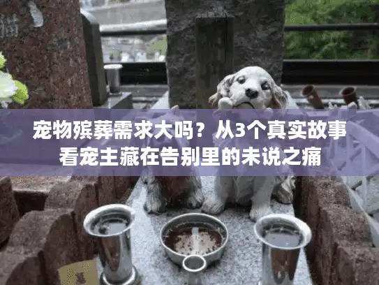 宠物殡葬需求大吗？从3个真实故事看宠主藏在告别里的未说之痛