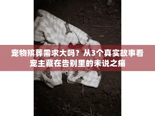 宠物殡葬需求大吗？从3个真实故事看宠主藏在告别里的未说之痛