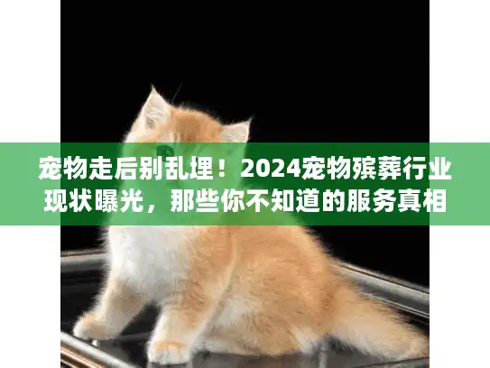 宠物走后别乱埋！2024宠物殡葬行业现状曝光，那些你不知道的服务真相与选择雷区