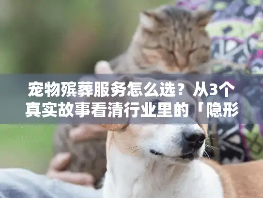 宠物殡葬服务怎么选？从3个真实故事看清行业里的「隐形门槛」