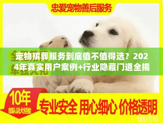 宠物殡葬服务到底值不值得选？2024年真实用户案例+行业隐藏门道全揭秘