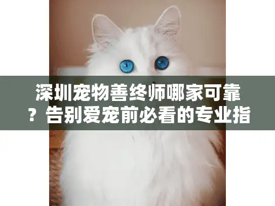 深圳宠物善终师哪家可靠？告别爱宠前必看的专业指南