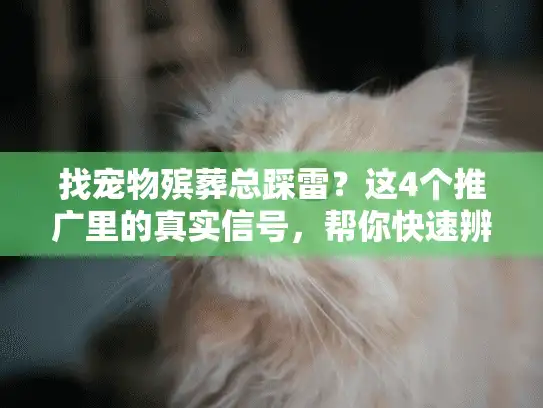 找宠物殡葬总踩雷？这4个推广里的真实信号，帮你快速辨靠谱服务