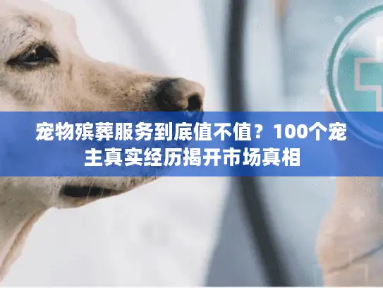 宠物殡葬服务到底值不值？100个宠主真实经历揭开市场真相