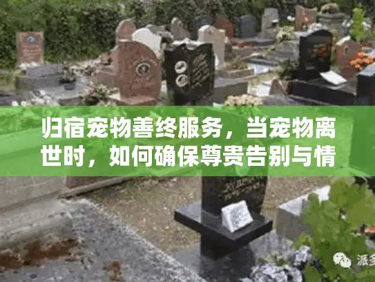 归宿宠物善终服务，当宠物离世时，如何确保尊贵告别与情感疗愈？