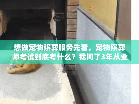 想做宠物殡葬服务先看，宠物殡葬师考试到底考什么？我问了3年从业者