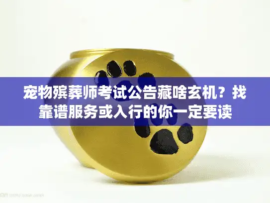 宠物殡葬师考试公告藏啥玄机？找靠谱服务或入行的你一定要读
