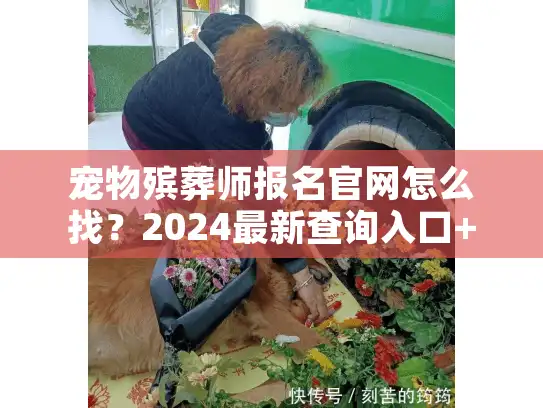 宠物殡葬师报名官网怎么找？2024最新查询入口+行业内情全揭秘