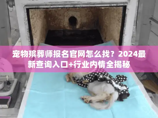宠物殡葬师报名官网怎么找？2024最新查询入口+行业内情全揭秘