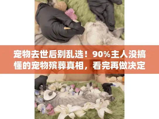 宠物去世后别乱选！90%主人没搞懂的宠物殡葬真相，看完再做决定