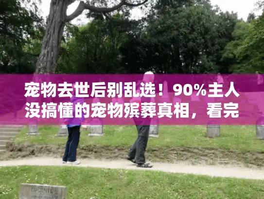 宠物去世后别乱选！90%主人没搞懂的宠物殡葬真相，看完再做决定