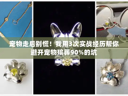 宠物走后别慌！我用3次实战经历帮你避开宠物殡葬90%的坑