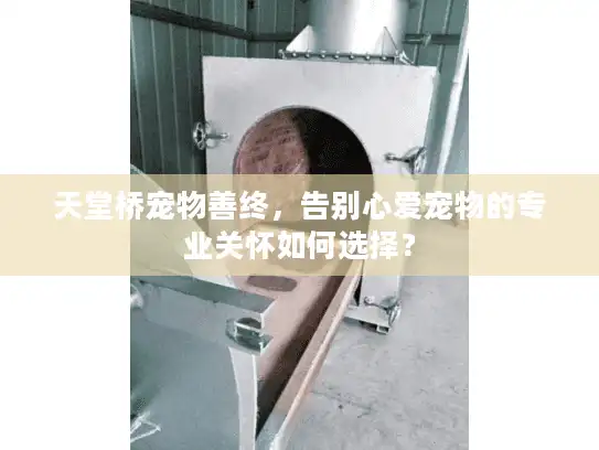 天堂桥宠物善终，告别心爱宠物的专业关怀如何选择？