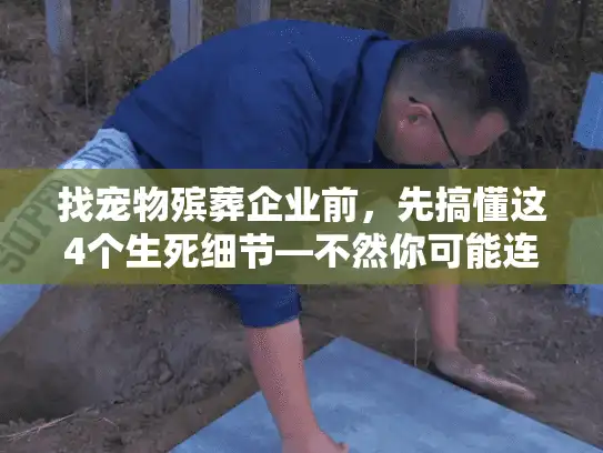 找宠物殡葬企业前，先搞懂这4个生死细节—不然你可能连毛孩子最后一面都错付