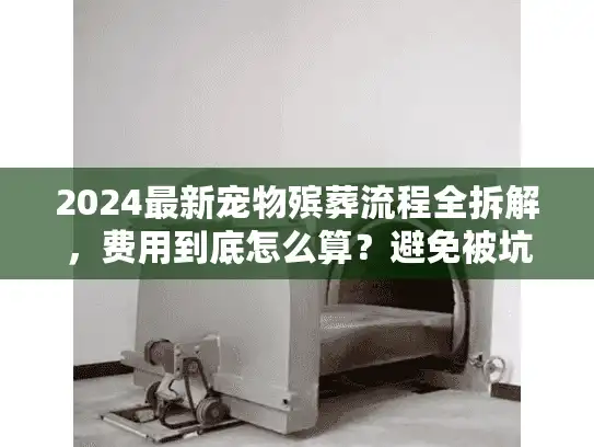 2024最新宠物殡葬流程全拆解，费用到底怎么算？避免被坑看这篇就够