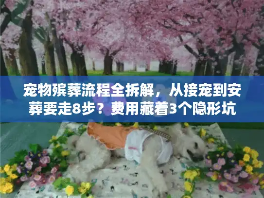 宠物殡葬流程全拆解，从接宠到安葬要走8步？费用藏着3个隐形坑