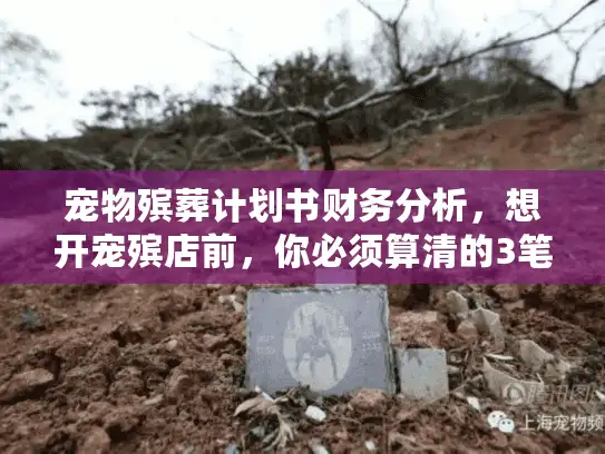 宠物殡葬计划书财务分析，想开宠殡店前，你必须算清的3笔生死账