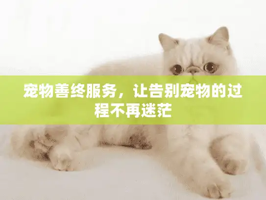 宠物善终服务，让告别宠物的过程不再迷茫