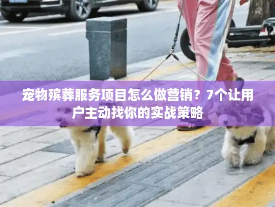 宠物殡葬服务项目怎么做营销？7个让用户主动找你的实战策略