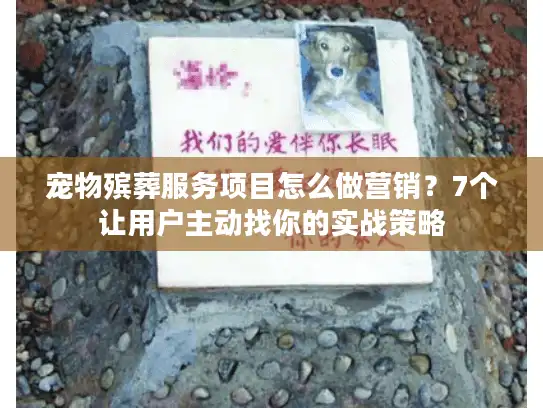 宠物殡葬服务项目怎么做营销？7个让用户主动找你的实战策略