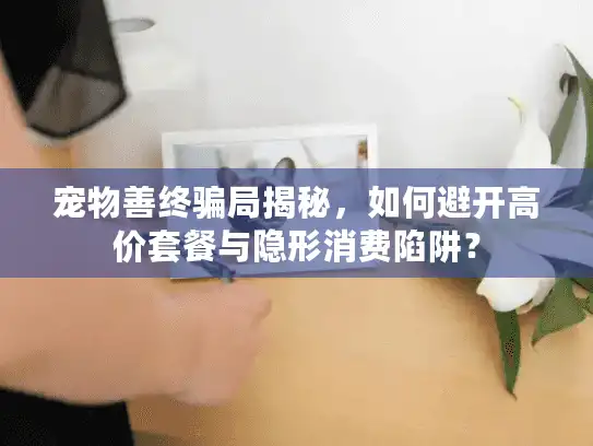 宠物善终骗局揭秘，如何避开高价套餐与隐形消费陷阱？