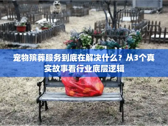 宠物殡葬服务到底在解决什么？从3个真实故事看行业底层逻辑