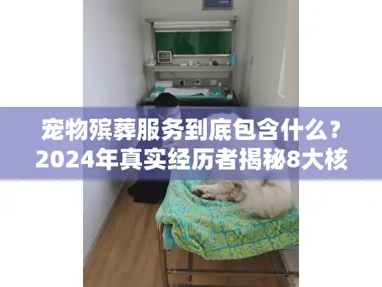 宠物殡葬服务到底包含什么？2024年真实经历者揭秘8大核心环节+隐藏细节