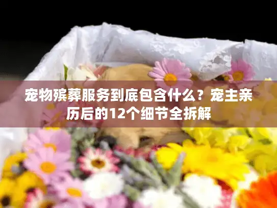 宠物殡葬服务到底包含什么？宠主亲历后的12个细节全拆解