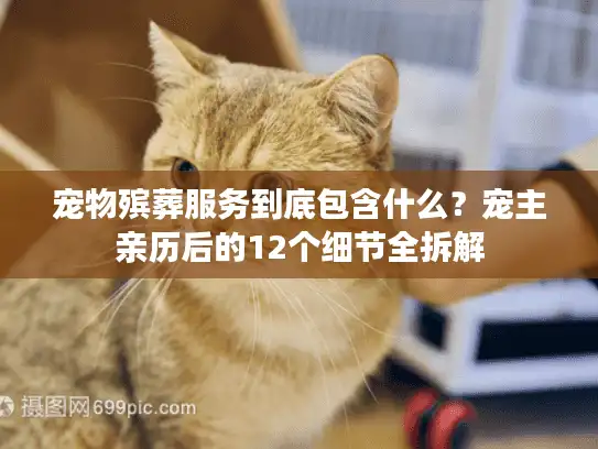 宠物殡葬服务到底包含什么？宠主亲历后的12个细节全拆解