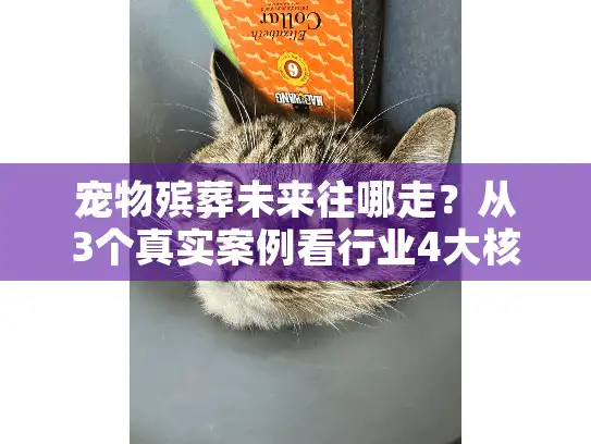 宠物殡葬未来往哪走？从3个真实案例看行业4大核心发展方向
