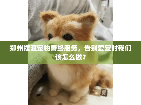 郑州摆渡宠物善终服务，告别爱宠时我们该怎么做？