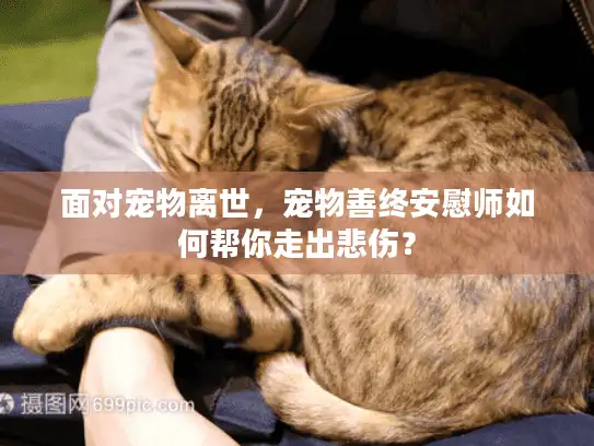 面对宠物离世，宠物善终安慰师如何帮你走出悲伤？