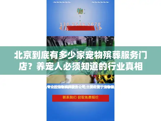 北京到底有多少家宠物殡葬服务门店？养宠人必须知道的行业真相