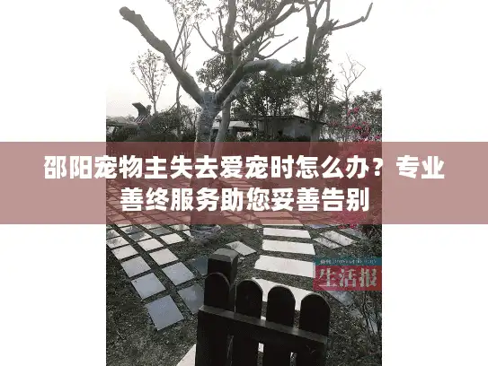 邵阳宠物主失去爱宠时怎么办？专业善终服务助您妥善告别