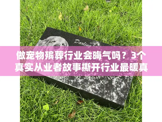 做宠物殡葬行业会晦气吗？3个真实从业者故事撕开行业最暖真相