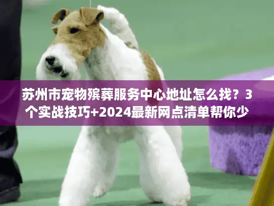 苏州市宠物殡葬服务中心地址怎么找？3个实战技巧+2024最新网点清单帮你少走弯路