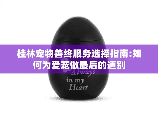 桂林宠物善终服务选择指南:如何为爱宠做最后的道别