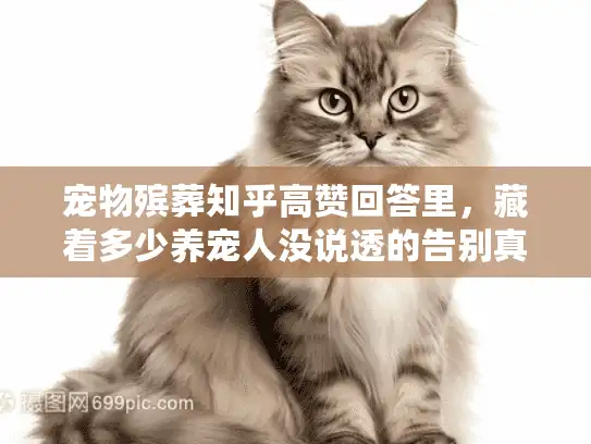 宠物殡葬知乎高赞回答里，藏着多少养宠人没说透的告别真相？