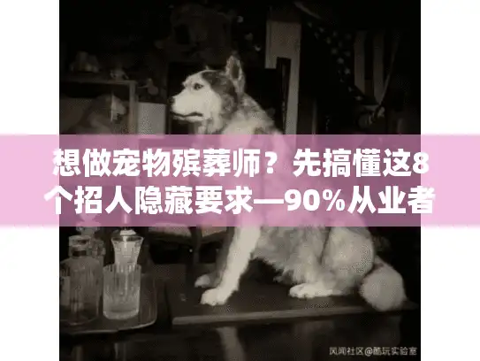 想做宠物殡葬师？先搞懂这8个招人隐藏要求—90%从业者都没说透的入行真相