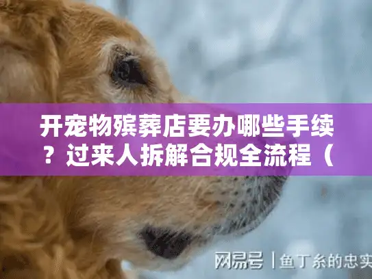 开宠物殡葬店要办哪些手续？过来人拆解合规全流程（含高频踩坑点）
