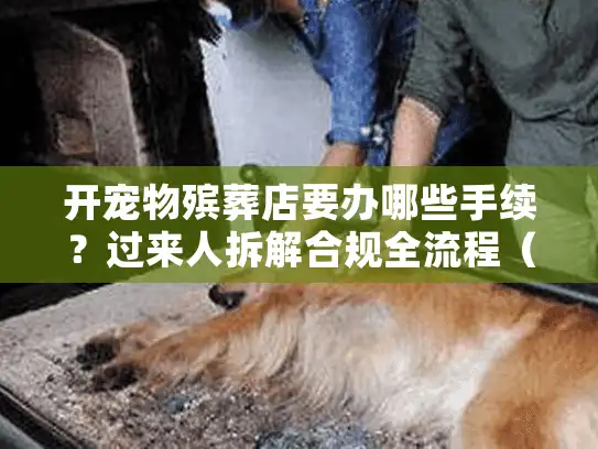 开宠物殡葬店要办哪些手续？过来人拆解合规全流程（含高频踩坑点）