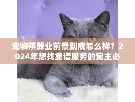 宠物殡葬业前景到底怎么样？2024年想找靠谱服务的宠主必须看